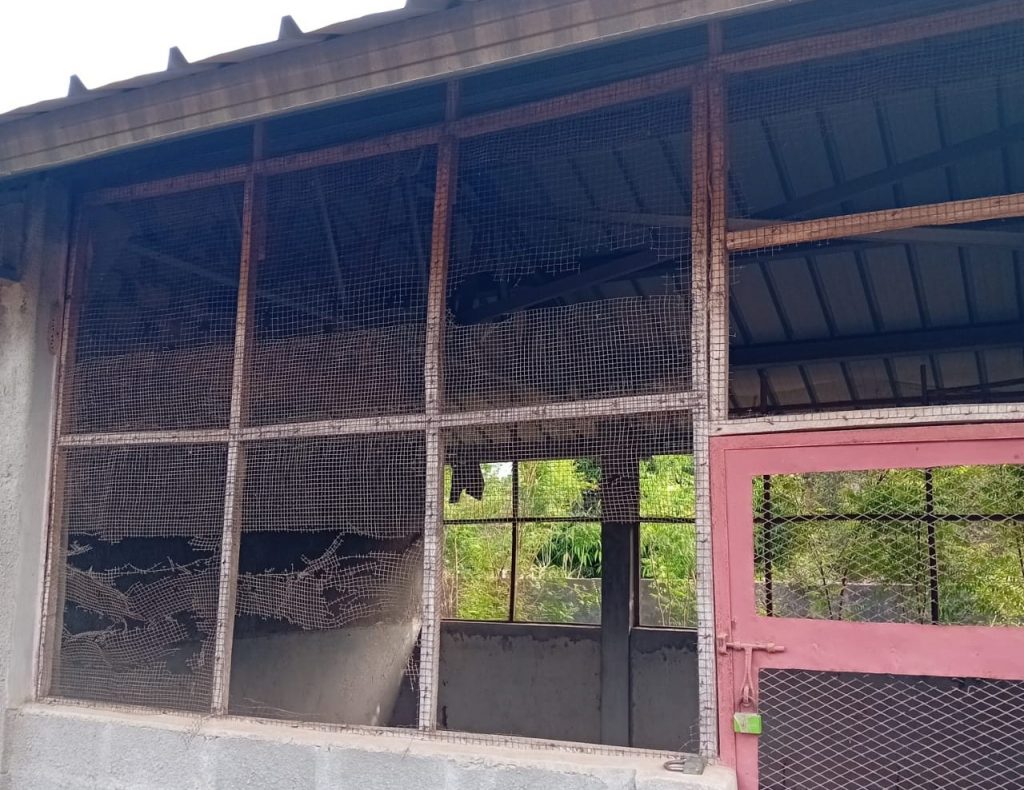 Windows need replacing